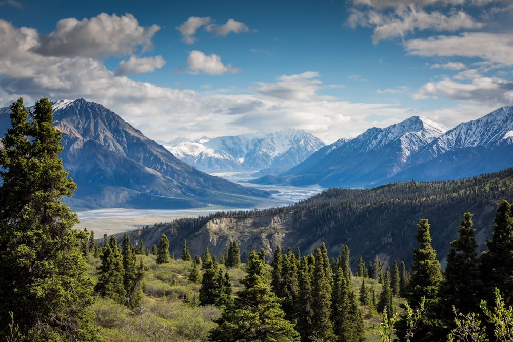 Mountain terrain with forested slopes and a remote valley