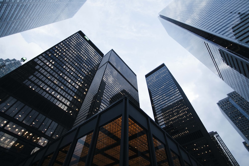 Contemporary office towers viewed from below
